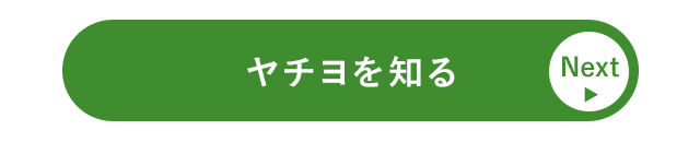 ヤチヨを知る